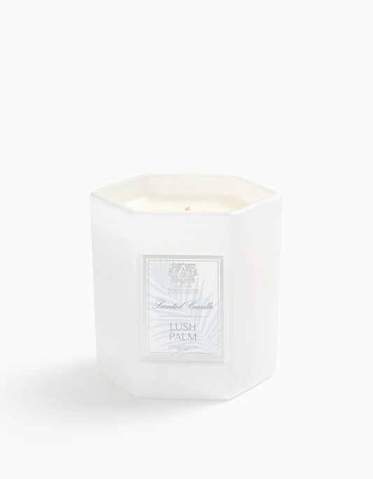 9 oz. Lush Palm Candle