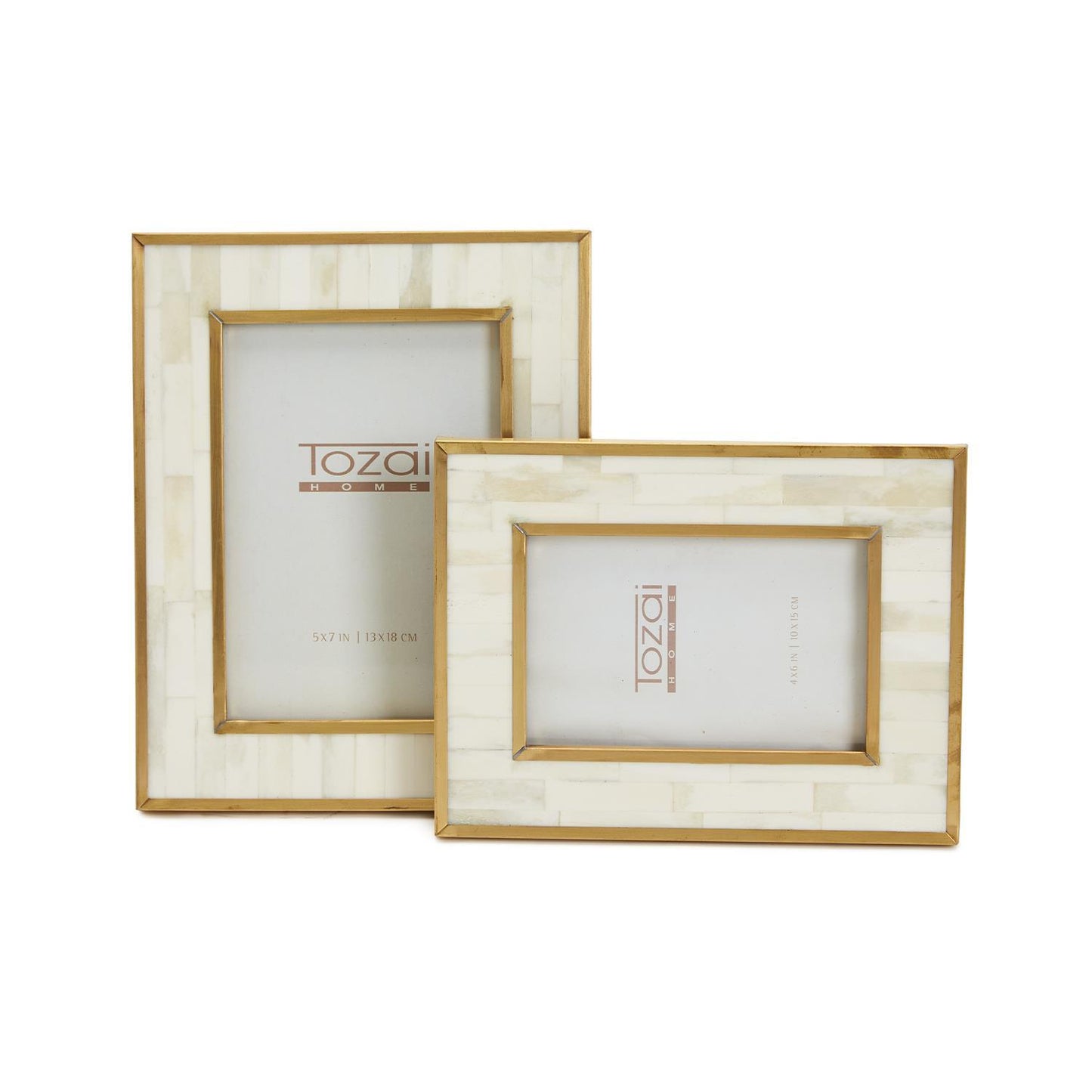 Resin Bone With Brass Border Frame