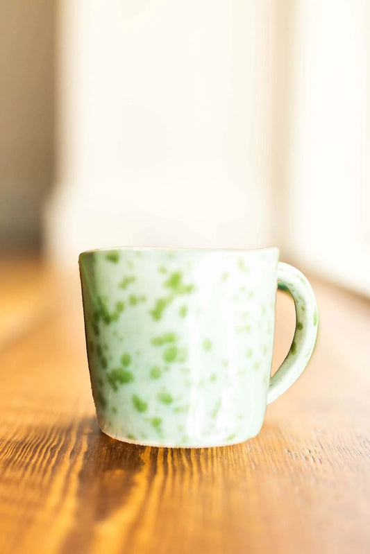 Mint Tortoise Mug