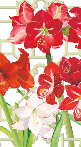 Amaryllis Conservatory Guest Towel