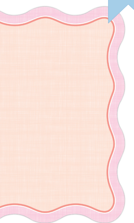 Coral Linen w/ Pink Border Paper Placemats