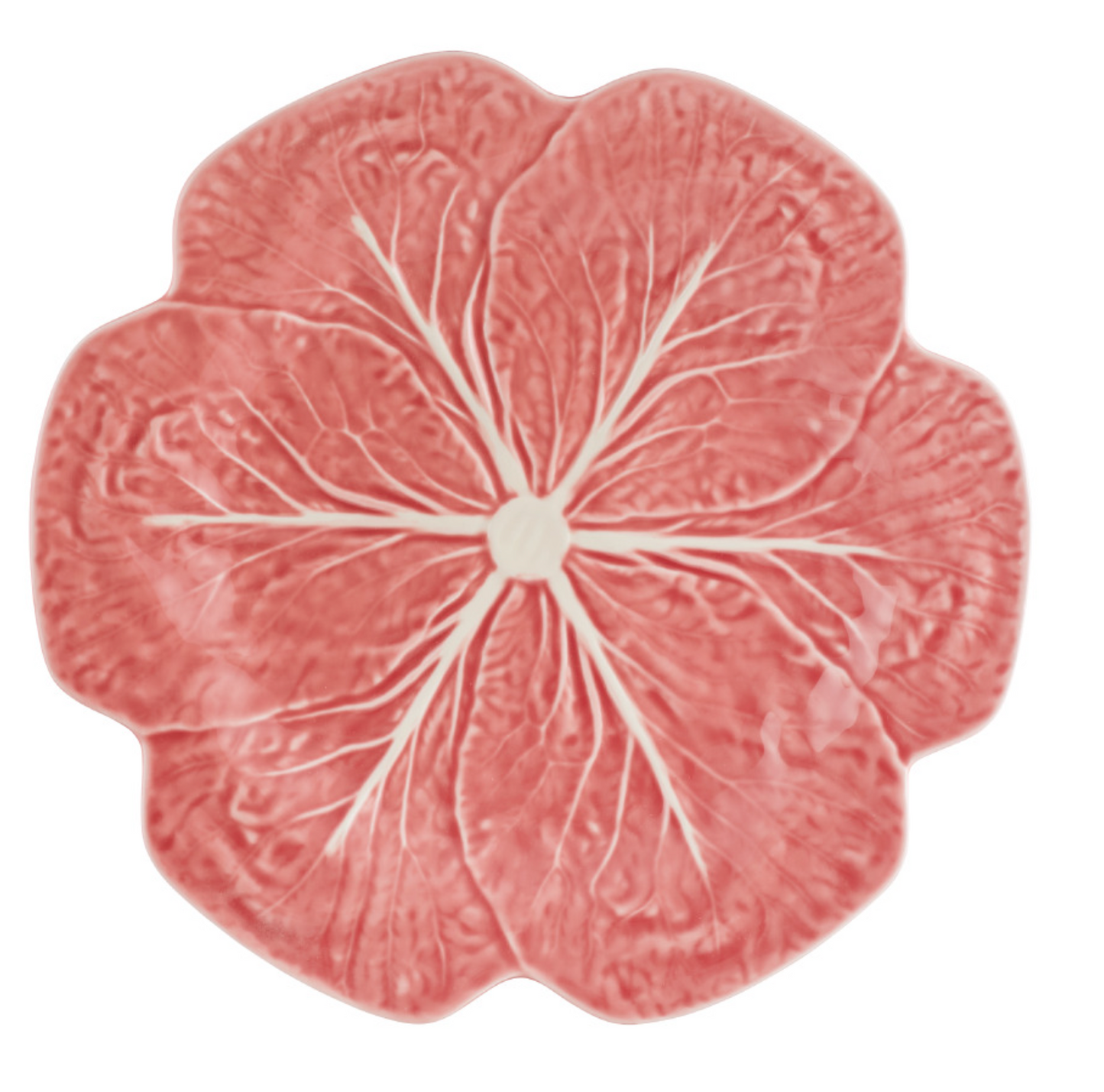 Pink Cabbage Dinner Plate