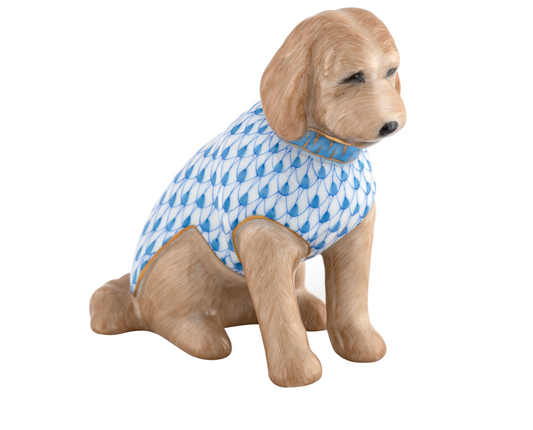 Labradoodle Blue
