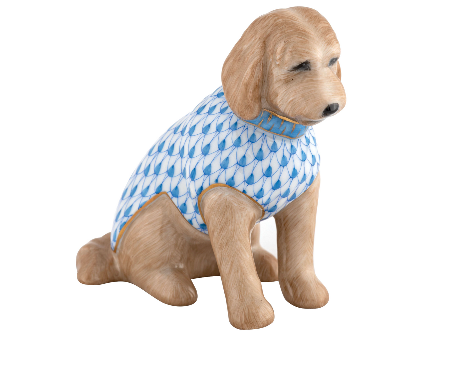 Labradoodle Blue