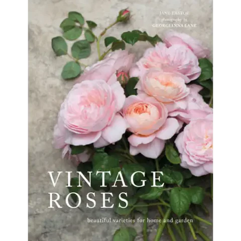 Vintage Roses