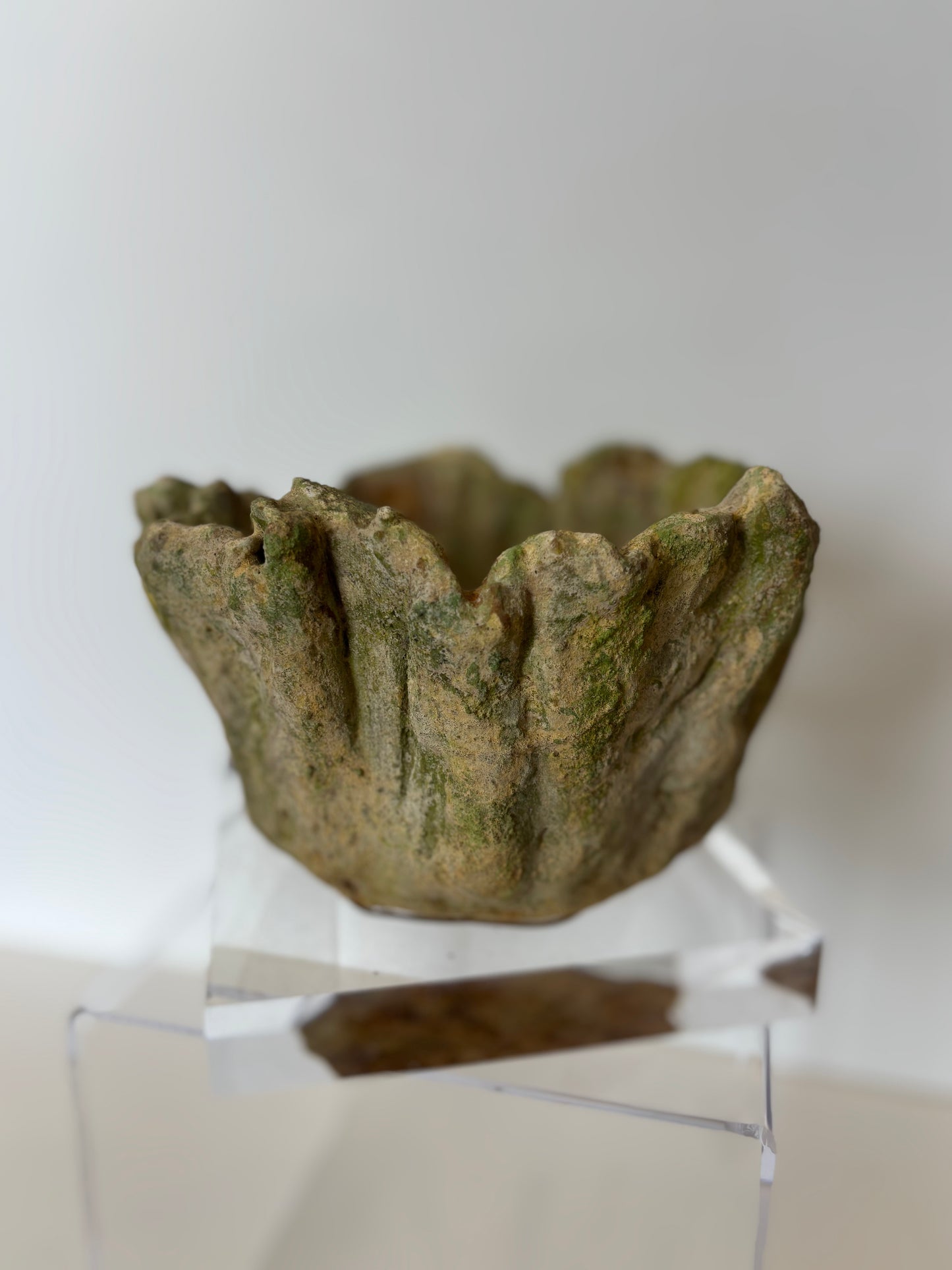 Moss Bowl