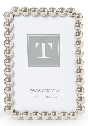 Silver Metallic Ball Frame