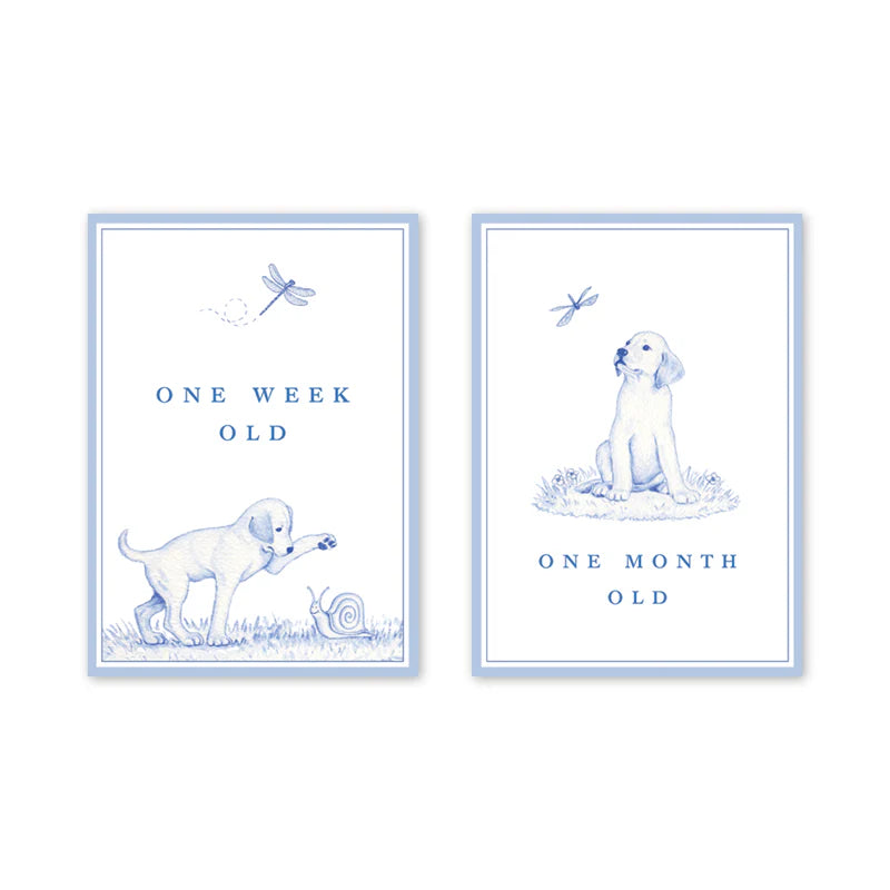 Snips and Snails Milestone Cards