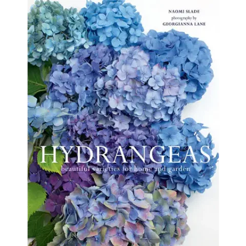 Hydrangeas